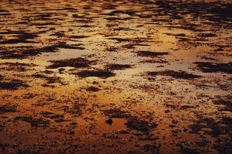 Weathered and deteriorating flat roof surface showing the effects of long-term standing water