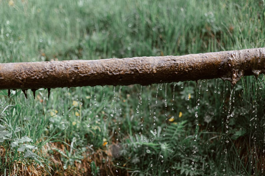 Rain falling on a horizontal wooden log in tall green grass.