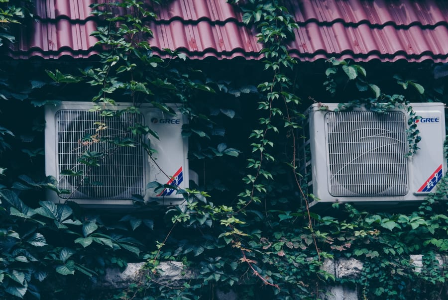 Two white barred windows covered in ivy beneath a red tiled roof on a house facade