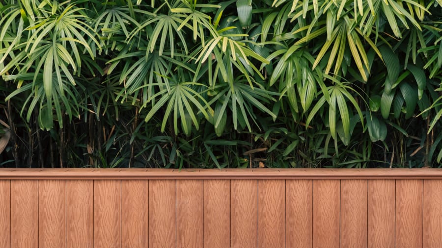 Composite Fencing in Newcastle: Costs, Lifespan, and How It Compares to Timber