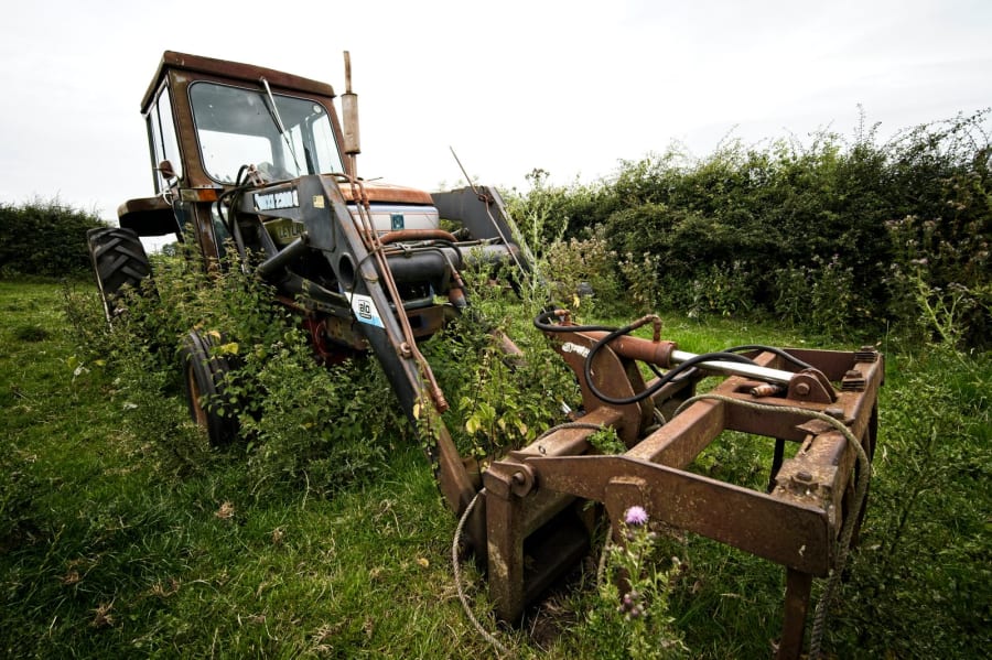 Garden Clearance Costs in Newcastle Before a Landscaping Project