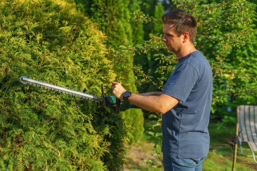 Garden Maintenance Costs in Newcastle: What Regular Upkeep Costs in 2026