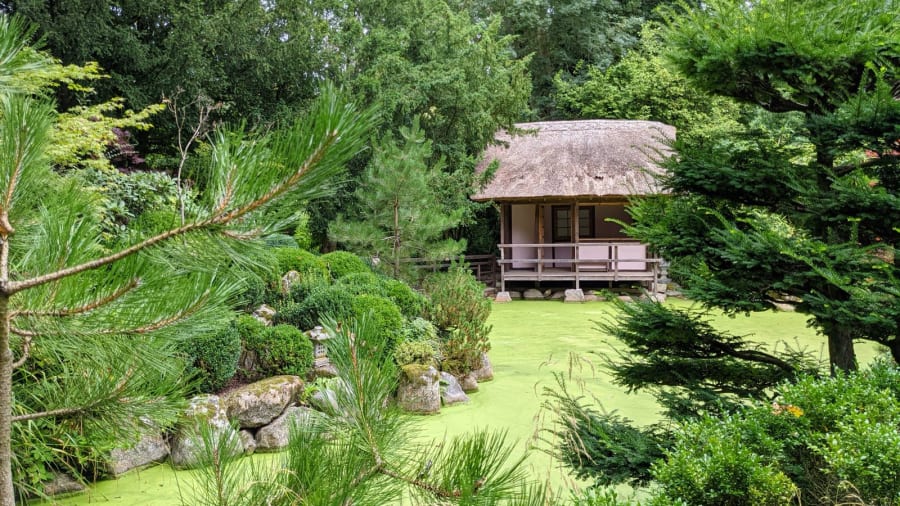 Garden Room and Summerhouse Base Costs in Newcastle: What to Know
