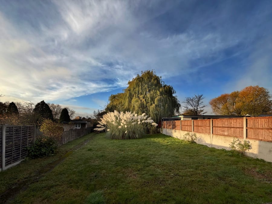 Real Turf vs Artificial Grass in Newcastle Gardens: Cost, Upkeep, and the Verdict