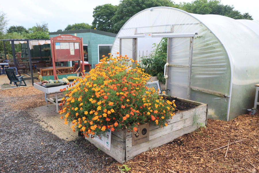 Raised Beds and Sleeper Planters in Newcastle: Costs and Design Ideas