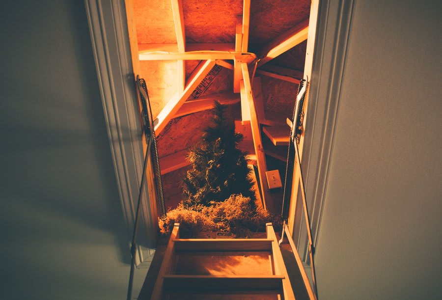 Light coming through a loft hatch into a roof space