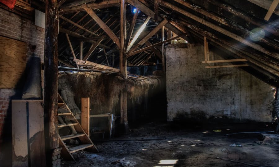 Roof timbers and rafters visible inside a loft space
