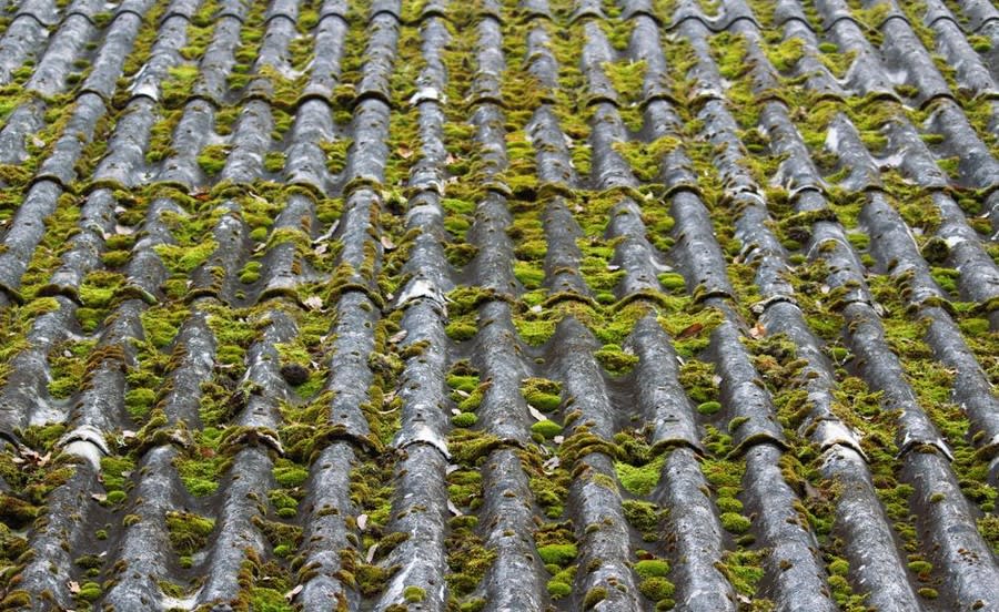 Weathered and mossy concrete roof tiles on a house in the Croydon area