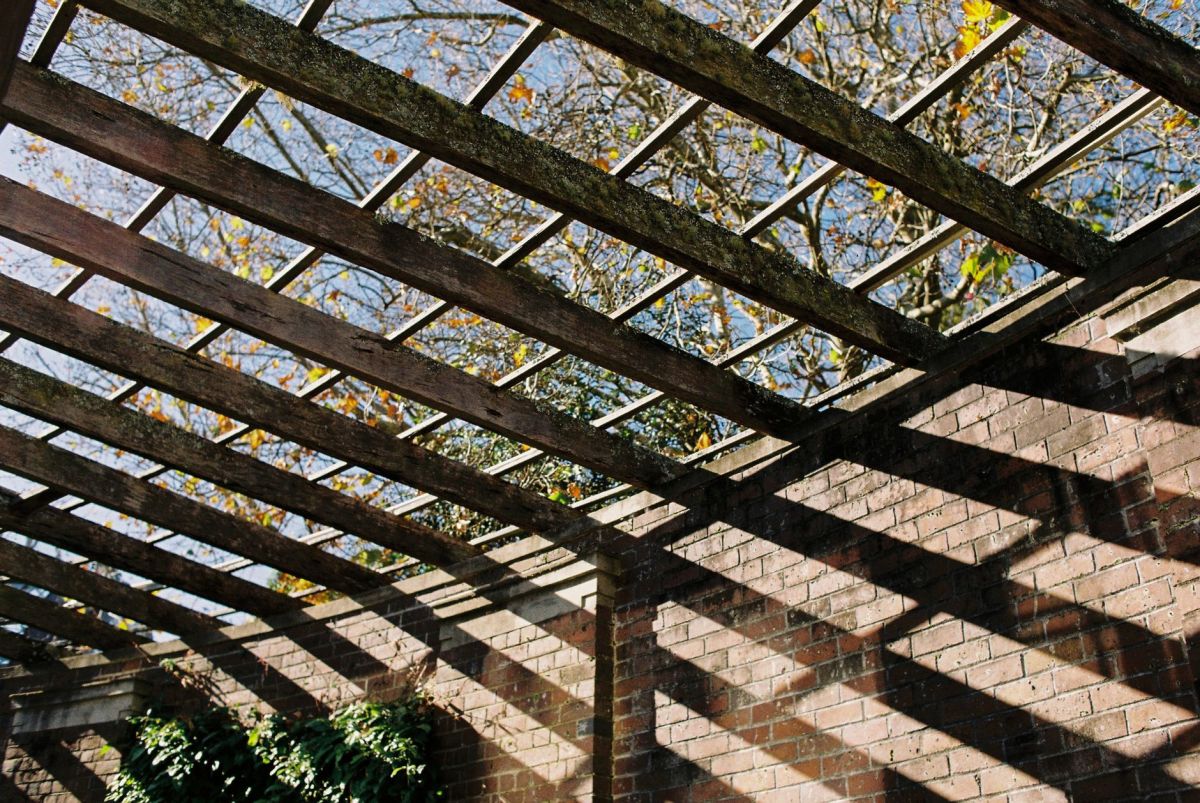 Sunlit lattice trellis casting diagonal shadows over an outdoor wall and foliage