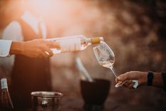 The Different Sommelier Levels and How to Get Them: What They Mean for Your Career