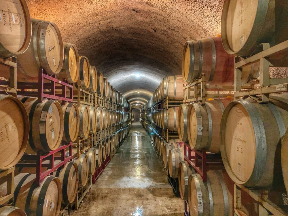 Working-In-a-Winery-Cellar.jpg