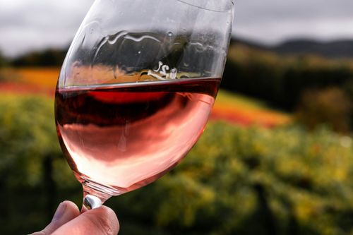 What is WSET?