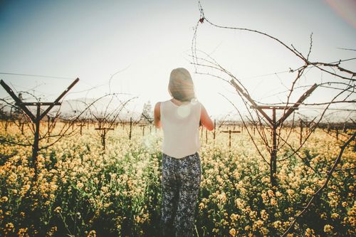 Entry Level Jobs In The Wine Industry