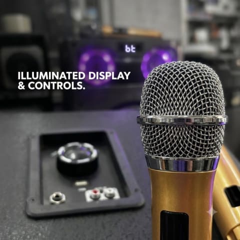 JVD 1001 MIC photo 2