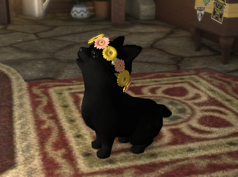 Character Image