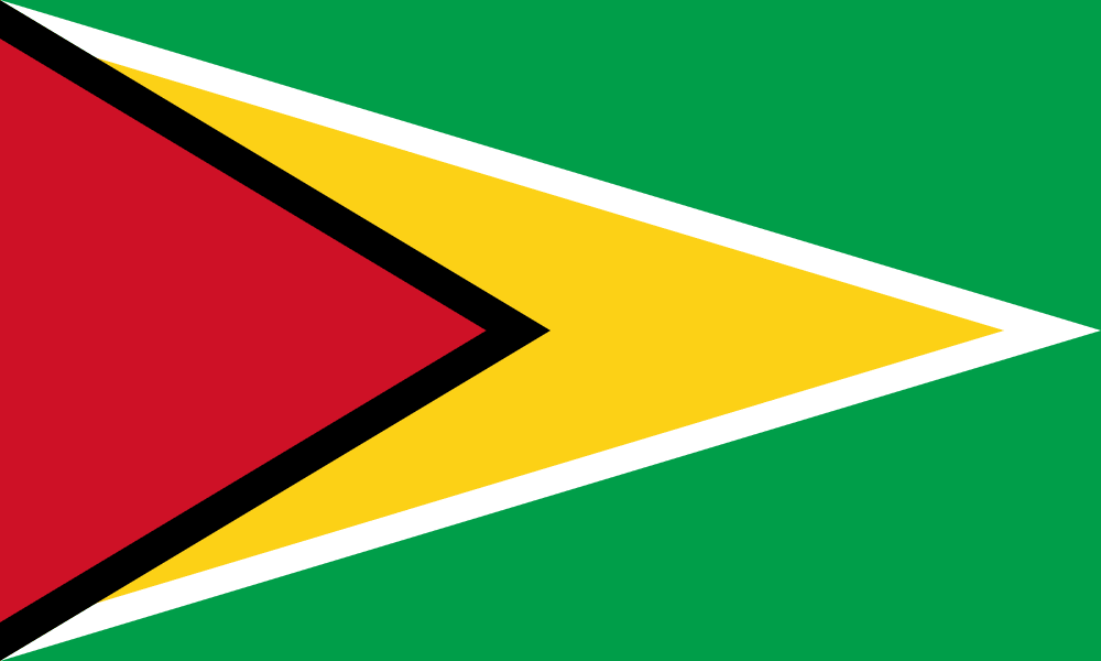 Flag of Guyana