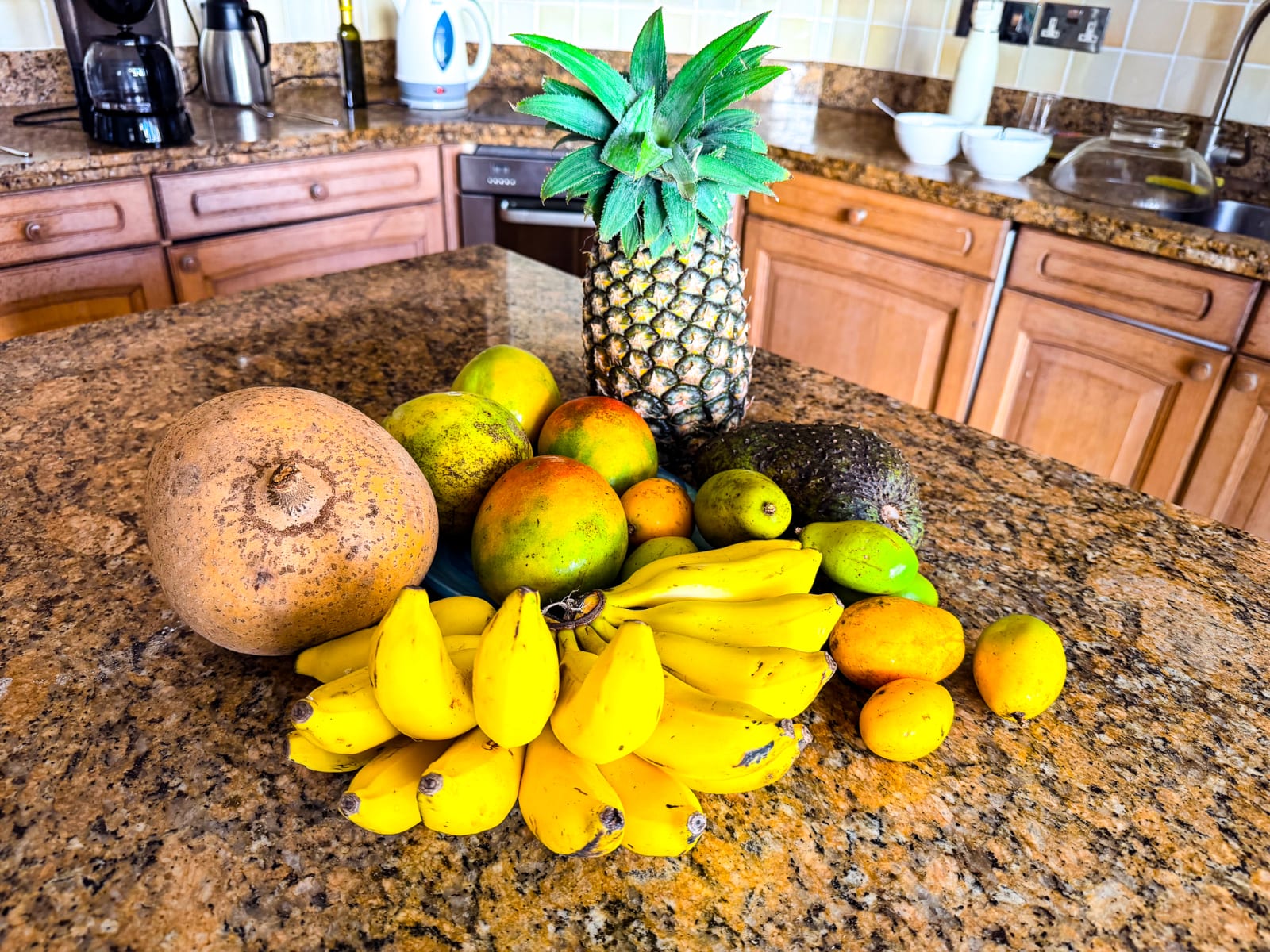 Fresh local fruit bought from the farm stand at Rodney Bay Marina