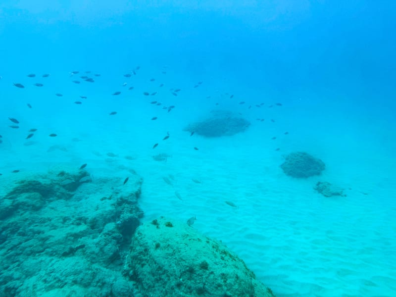 Snorkelling at Smuggler's Cove