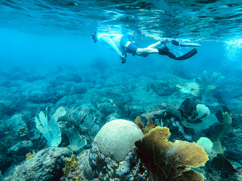 Wes snorkelling in the coral garden at Anse Chastanet