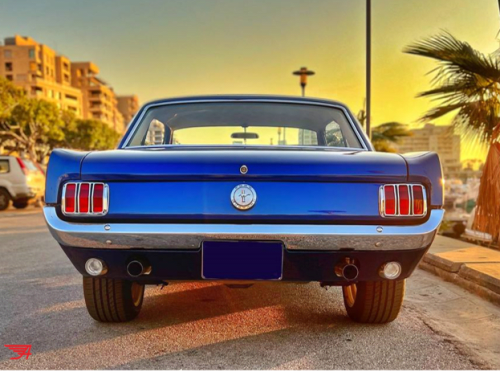 Ford Mustang Limited Edition Sprint 200 1966 For Sale Lebanon