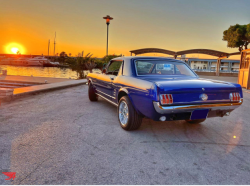 Ford Mustang Limited Edition Sprint 200 1966 For Sale Lebanon