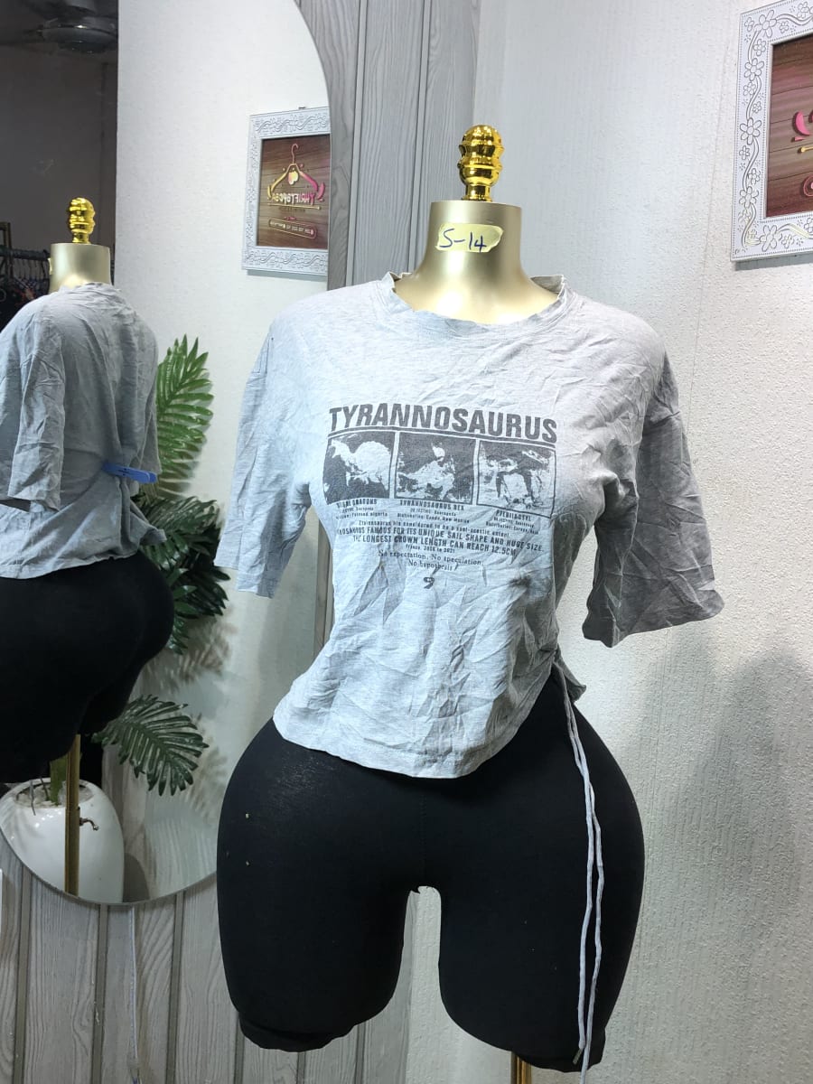 Women's Grey Tyrannosaurus Graphic Cropped Tee