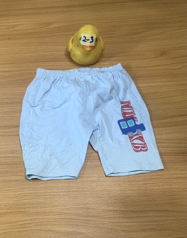 Toddler Light Blue Graphic Play Shorts 2-3Y