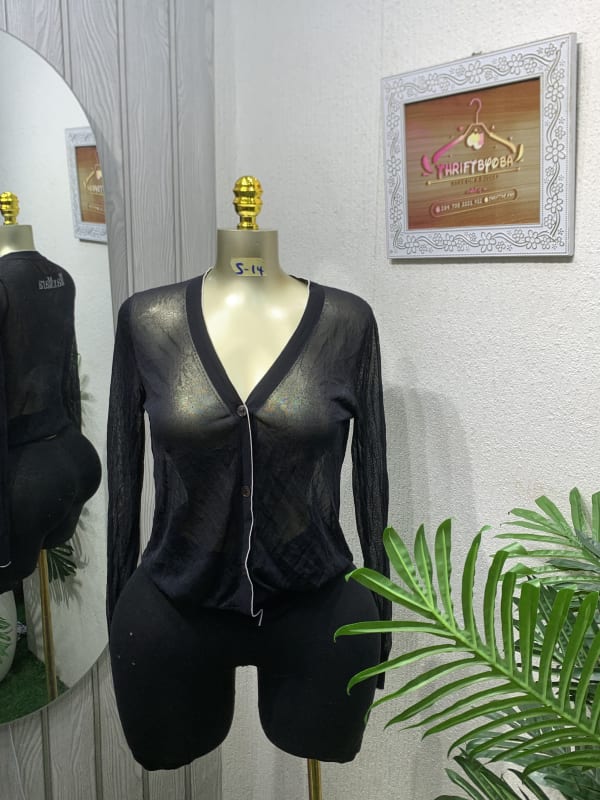 Women's Black Sheer V-Neck Button-Front Long Sleeve Top