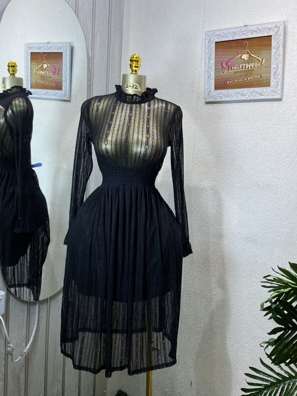 Elegant Black Sheer Mesh Ruffle Neck Long Sleeve Midi Dress