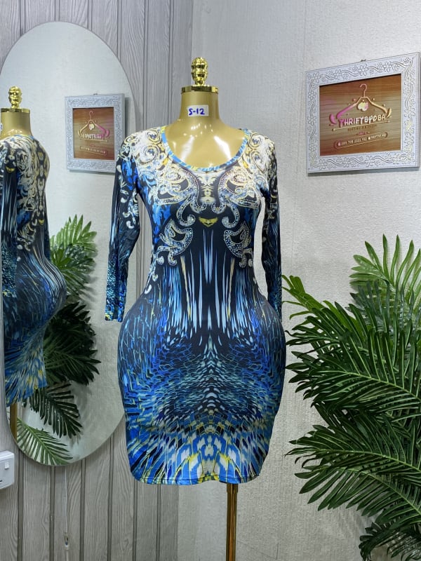 Blue Printed Bodycon Dress