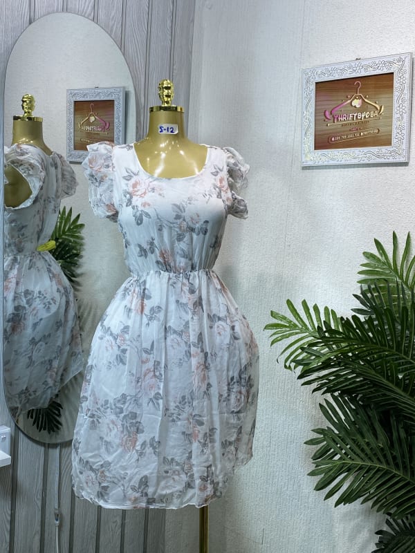 Women's Floral Print Sheer Puff Sleeve A-Line Dress