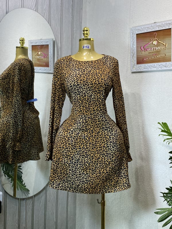 Leopard Print Long Sleeve A-Line Mini Dress