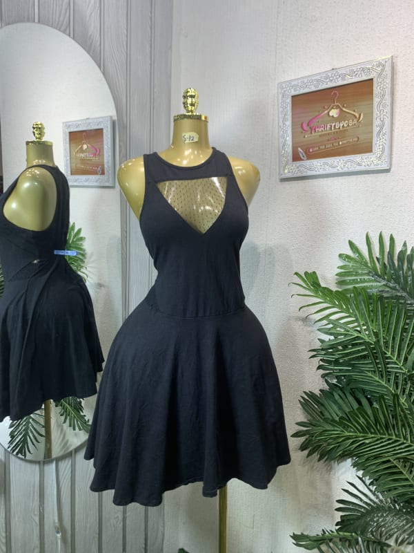 Black Mesh V-Neck Sleeveless Skater Mini Dress