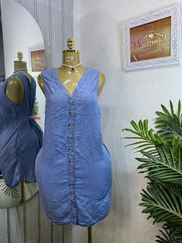 Sleeveless V-Neck Chambray Button-Front Mini Dress