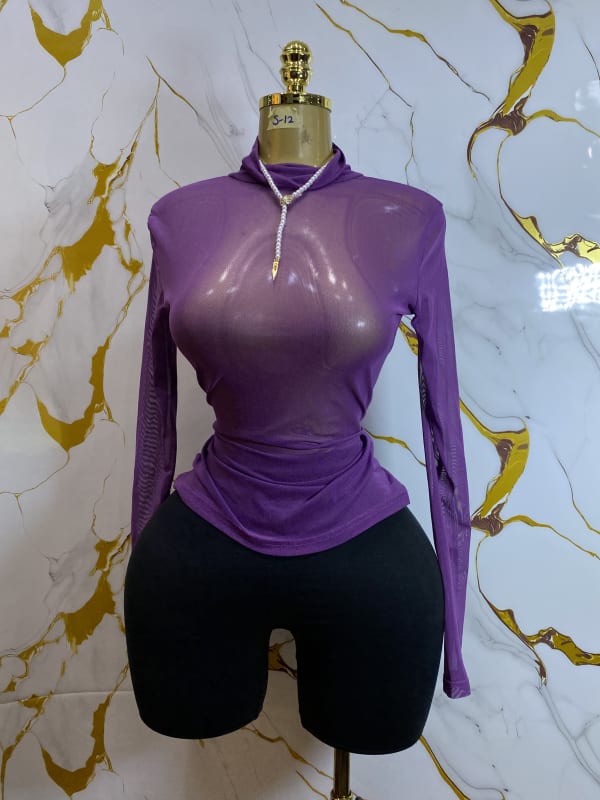 Purple Sheer Mesh Long Sleeve Turtleneck Top