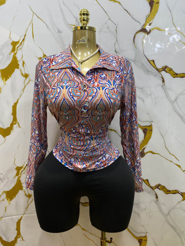 Elegant Paisley Print Fitted Long Sleeve Top