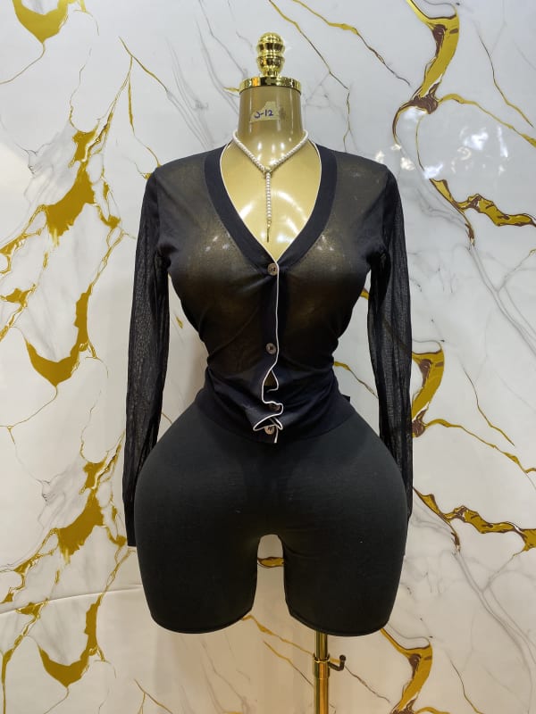 Chic Sheer Black Long Sleeve V-Neck Button Top