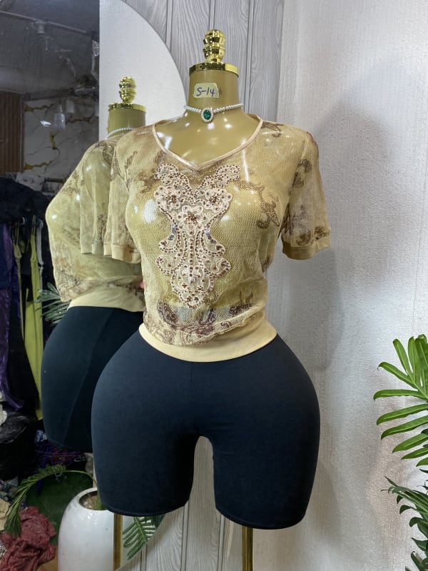 Elegant Beige Sheer Sequined Embellished Short Sleeve Top