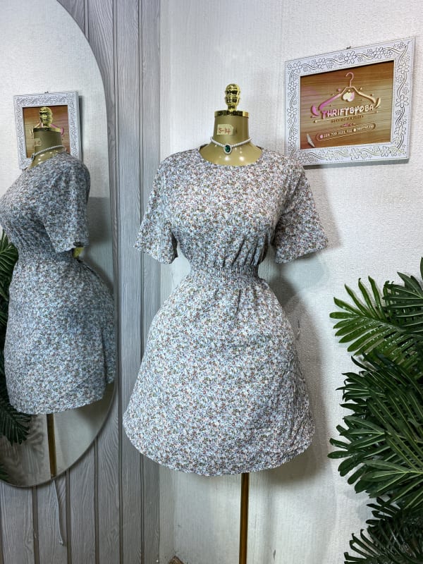 Floral Print Elastic Waist Mini Dress