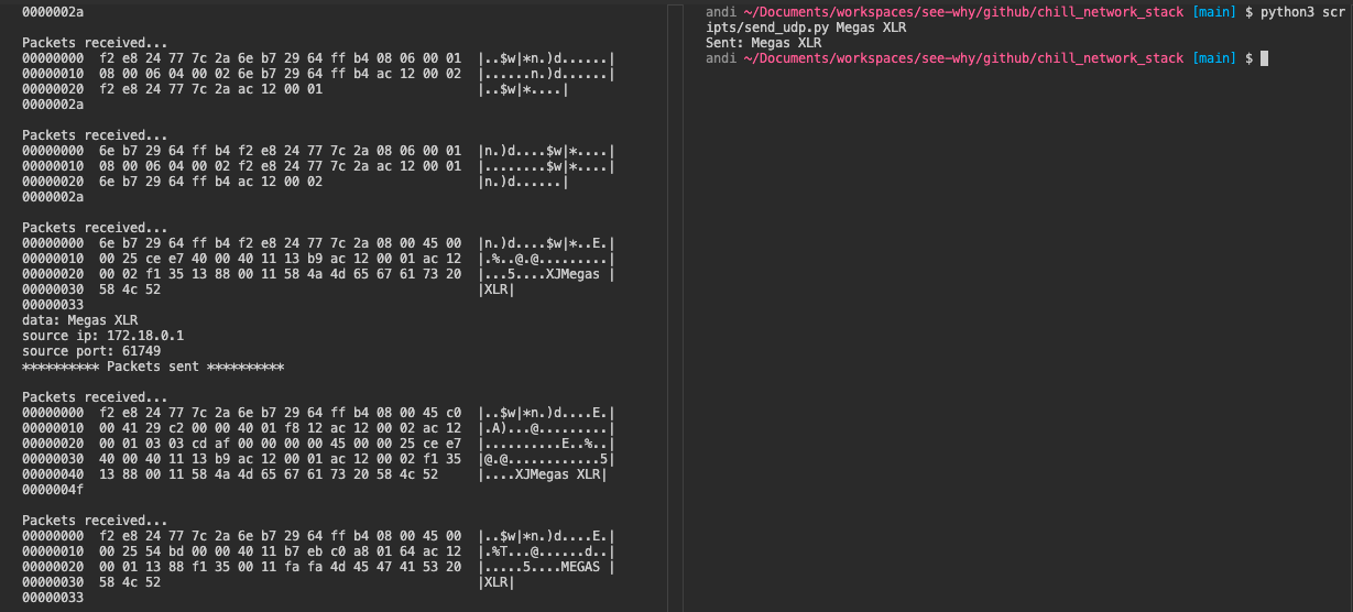 GitHub - see-why/UDP_Packet_Parser: A low-level network packet capture ...