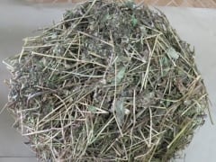 Завершение расследования уголовного дела в Киселевске