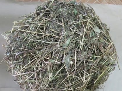 Завершение расследования уголовного дела в Киселевске