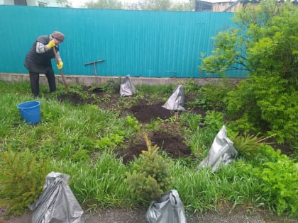 Всероссийский субботник 