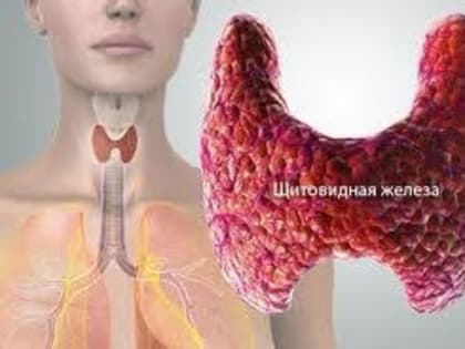 20-26 мая проводиться неделя профилактики заболевания эндокринной железы ( в честь всемирного дня щитовидной железы)&nbsp;