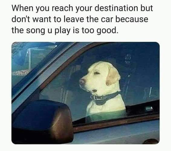 Enjoy this shared meme on HappyTimes, then discover more funny photos and videos.