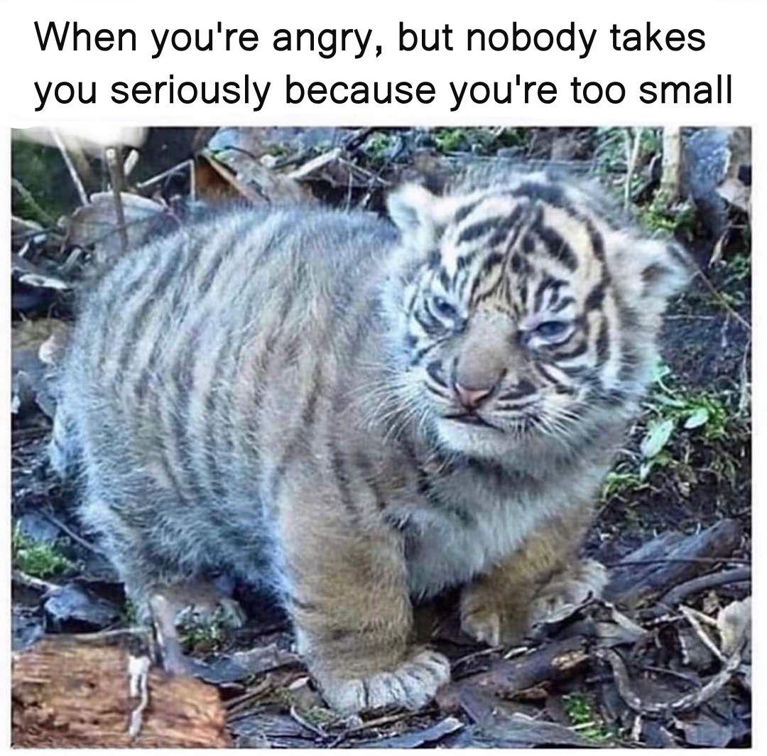 Enjoy this shared meme on HappyTimes, then discover more funny photos and videos.