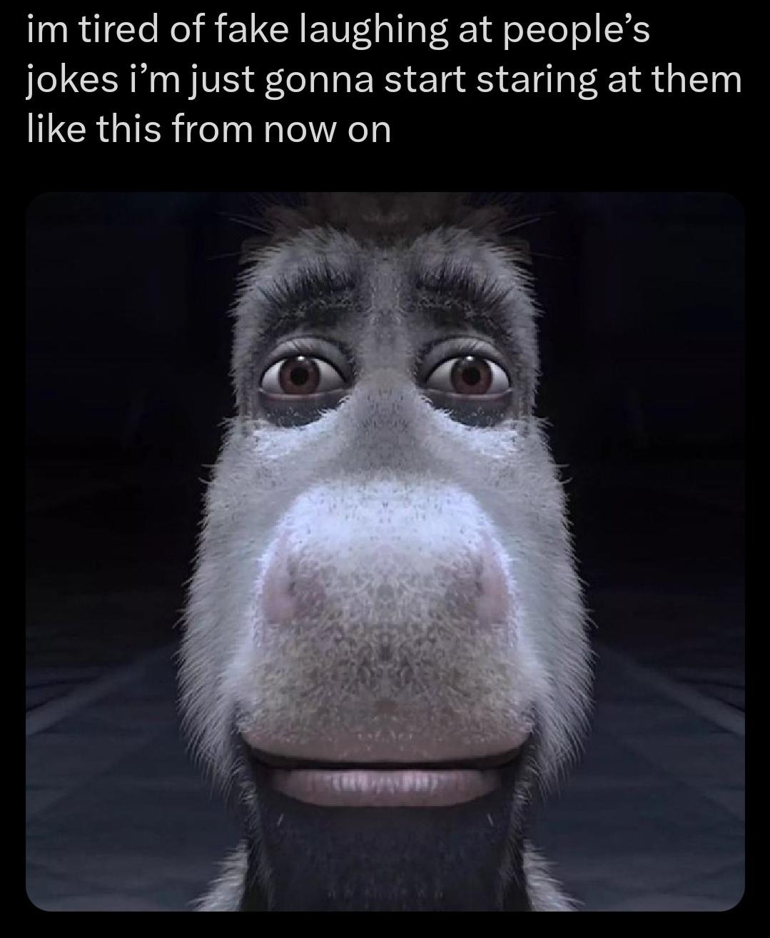 Enjoy this shared meme on HappyTimes, then discover more funny photos and videos.