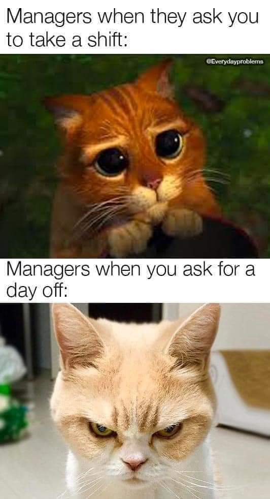 Enjoy this shared meme on HappyTimes, then discover more funny photos and videos.