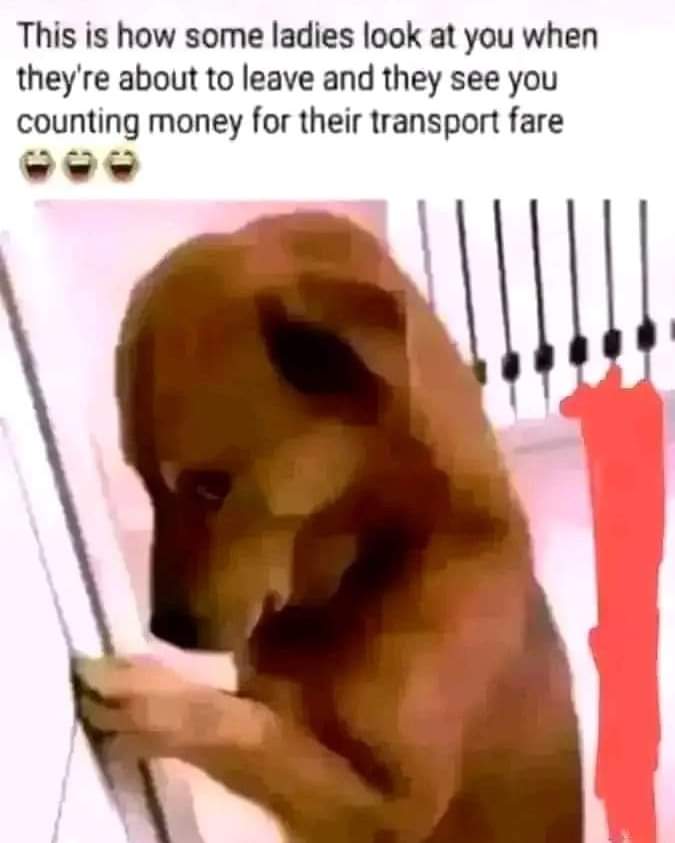 Enjoy this shared meme on HappyTimes, then discover more funny photos and videos.