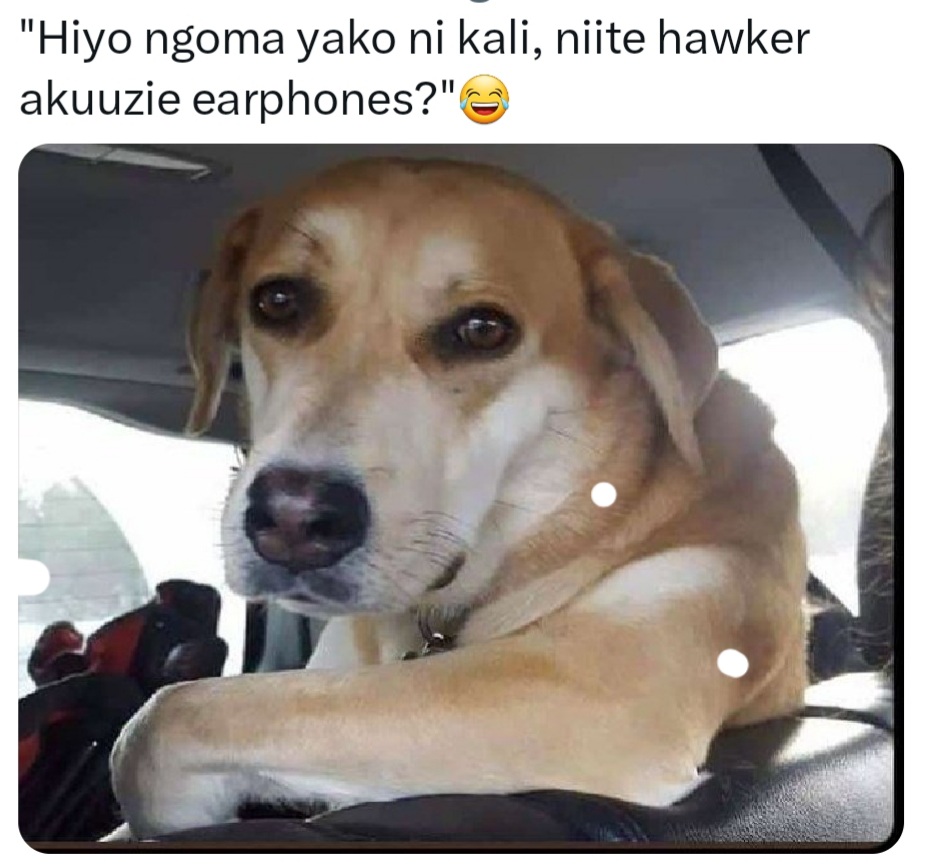 Enjoy this shared meme on HappyTimes, then discover more funny photos and videos.